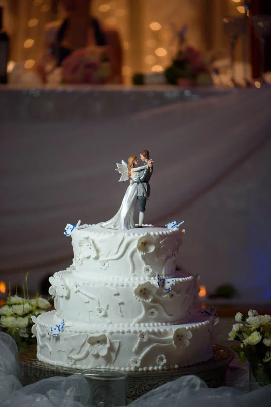 St-Augustine-Wedding-Cake-Photos-By-Rob-Futrell-Whimsical-Fairy