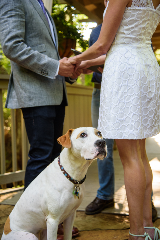 Cutest groomsman ever