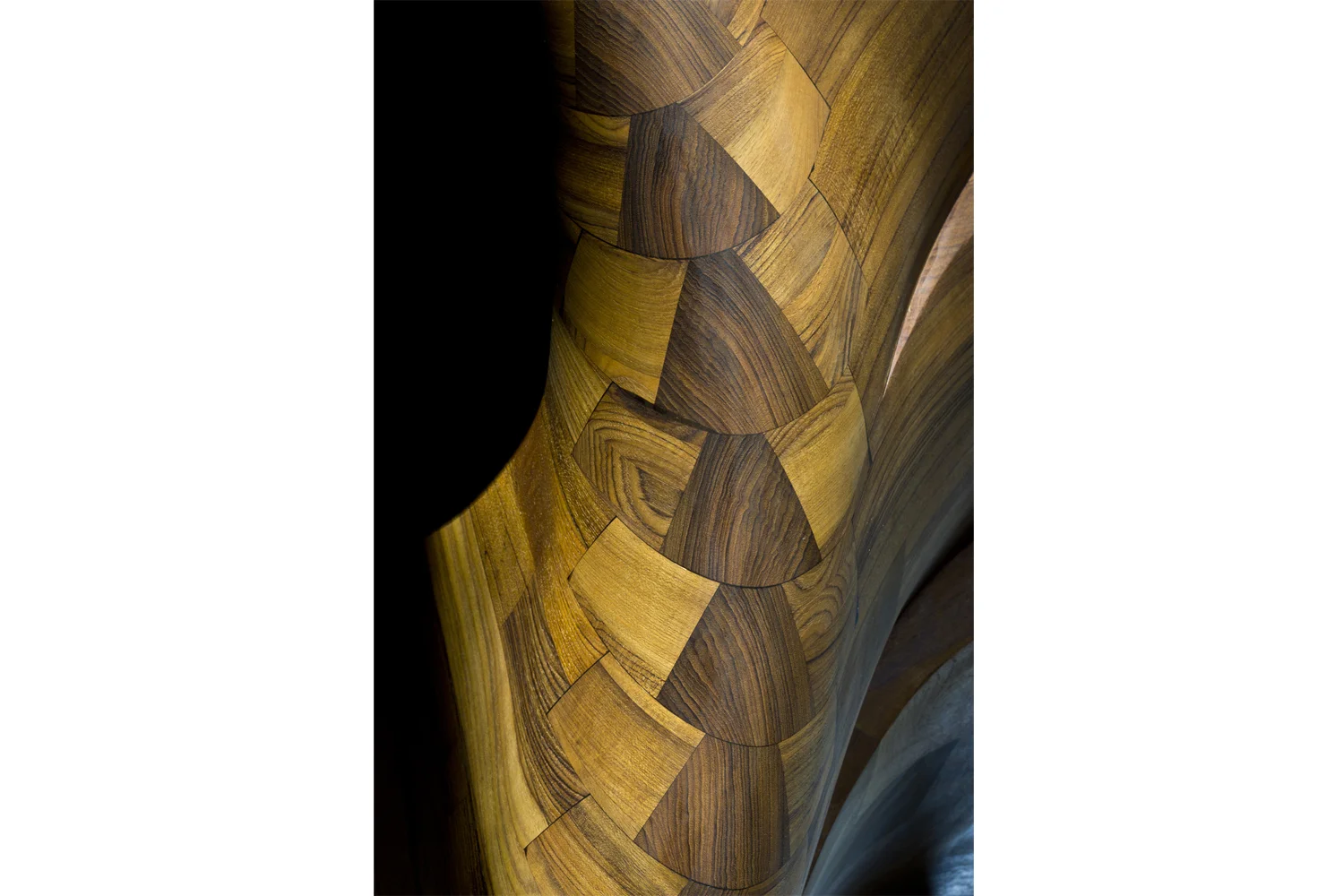 Spine Close Up.jpg