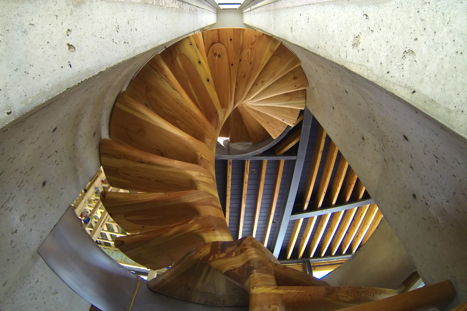 4Looking Up 3.jpg