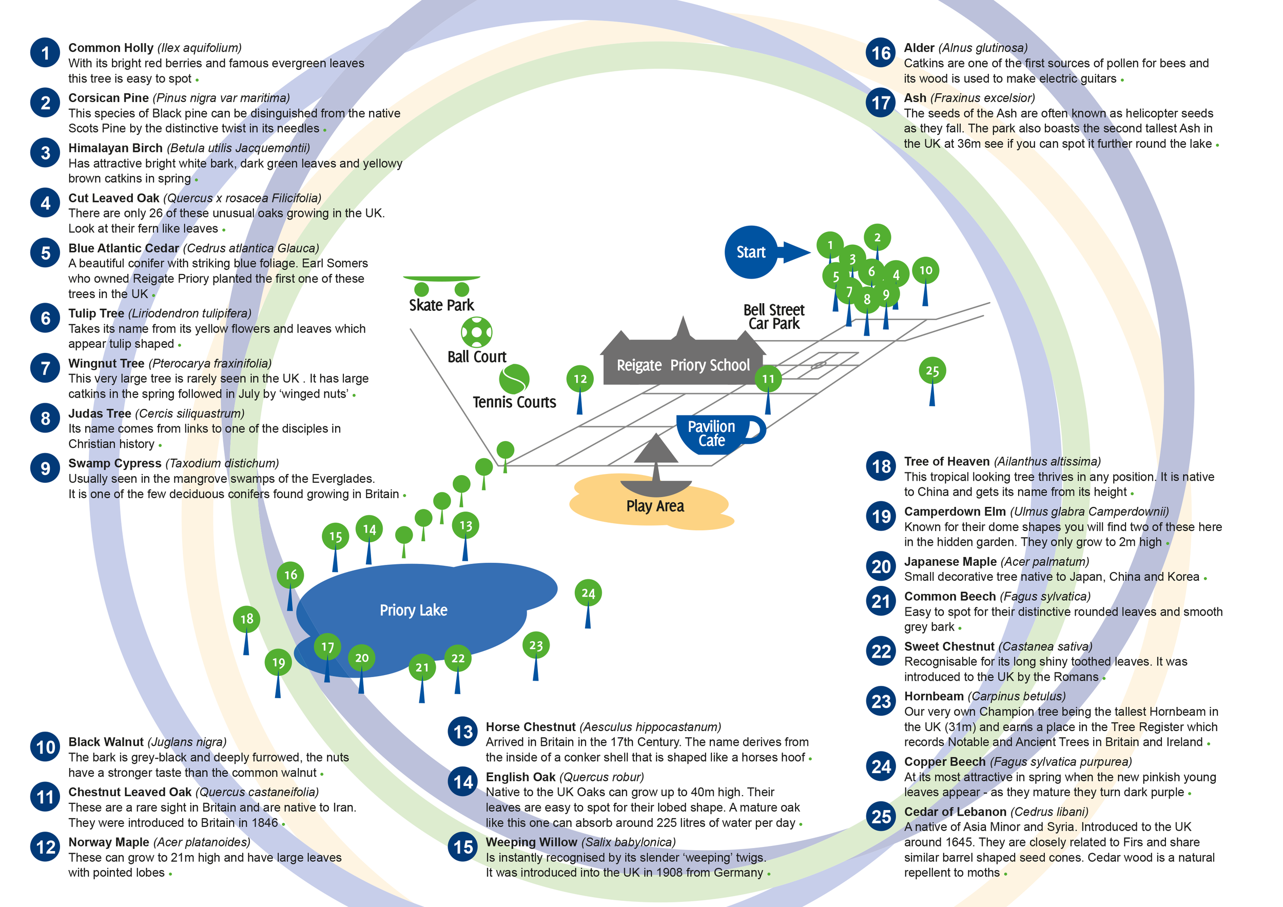 PP -TreeTrail-2011-2.png