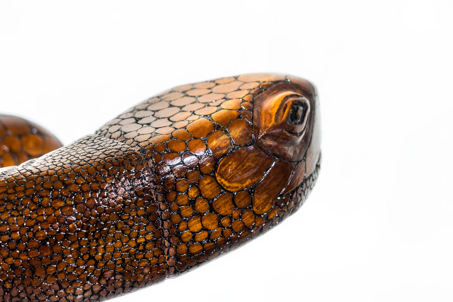 TurtleDrum2015Detail.jpg