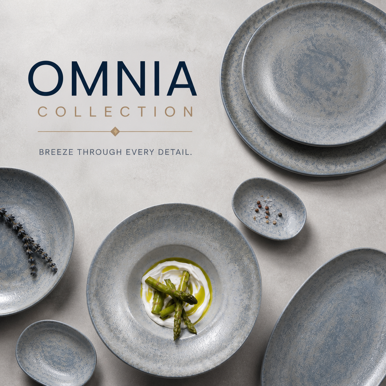 OMNIA COVER.png