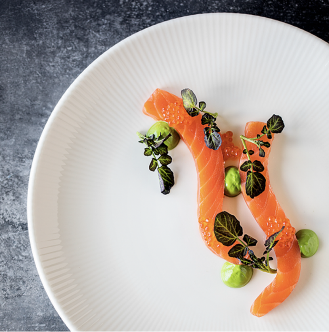 Screenshot 2026-02-12 at 12.19.50 PM.png