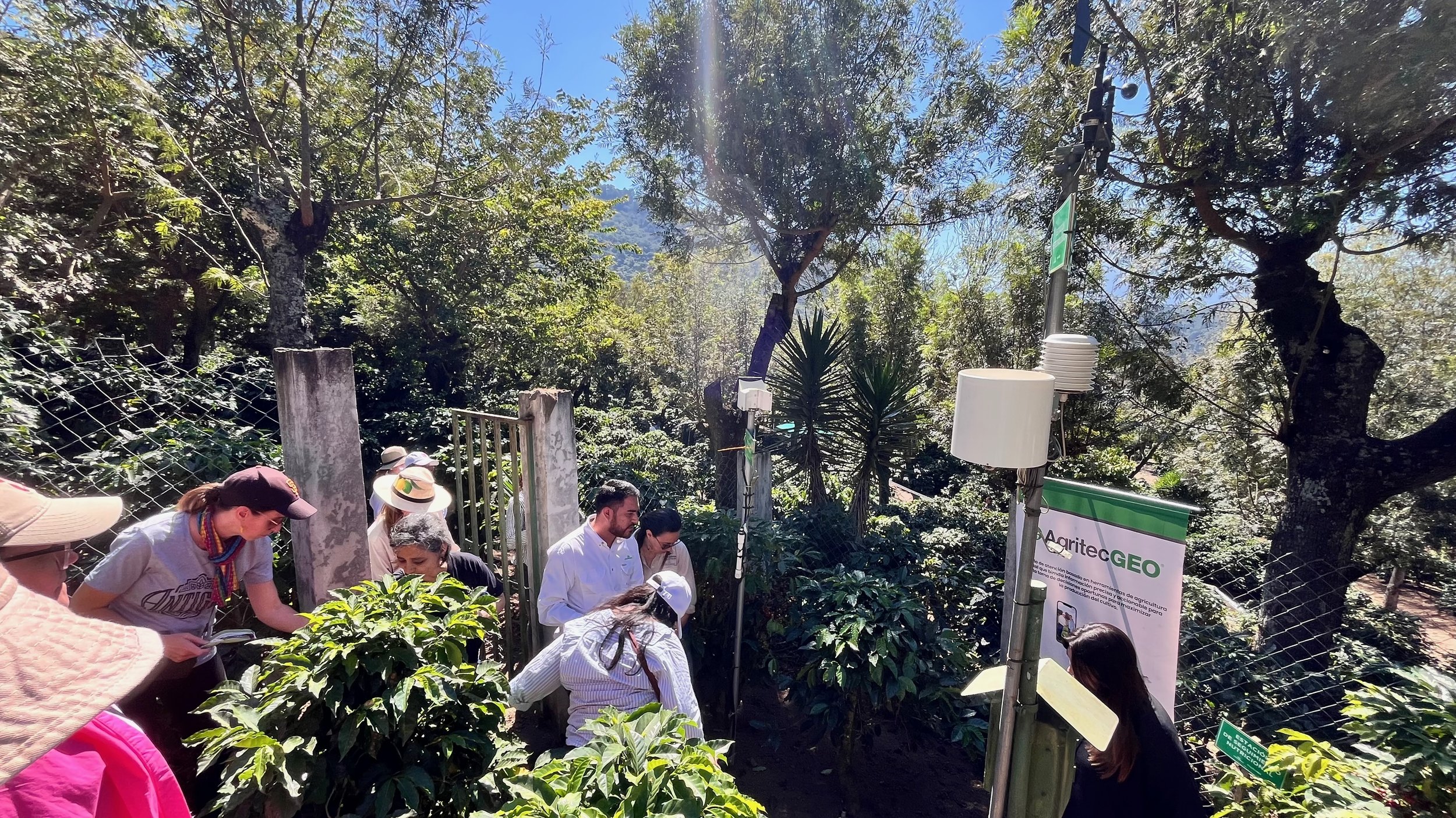 Untitled Album - 5 of 130.jpeg