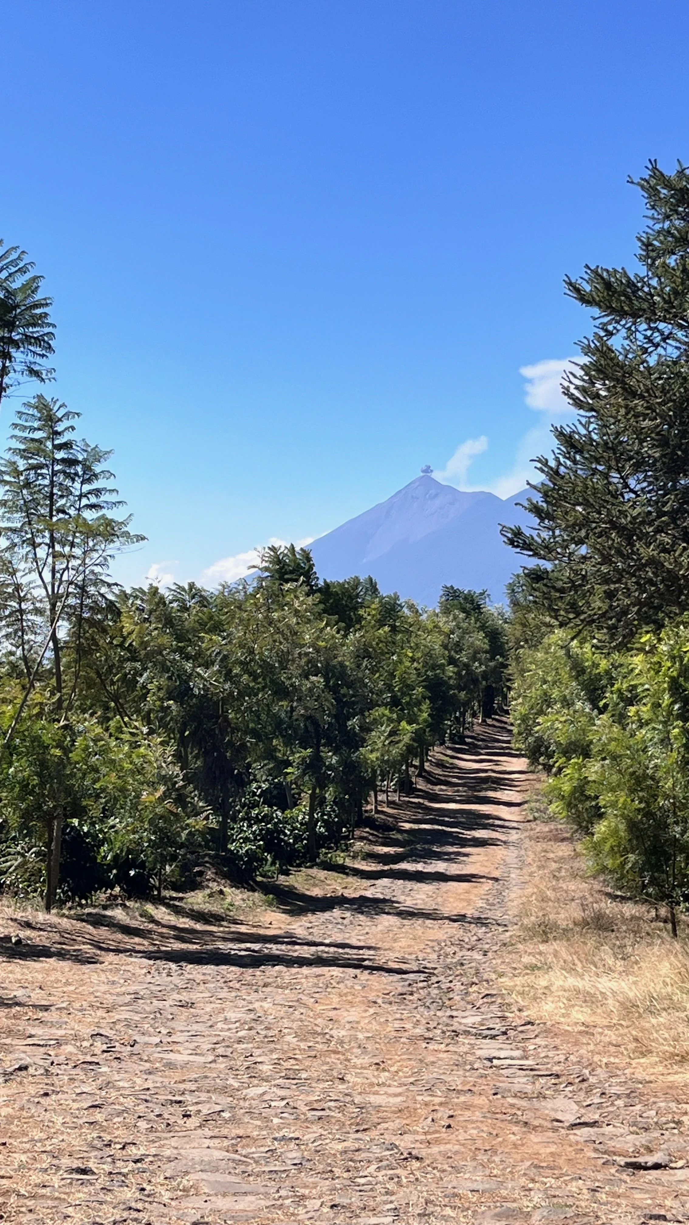 Untitled Album - 4 of 130.jpeg