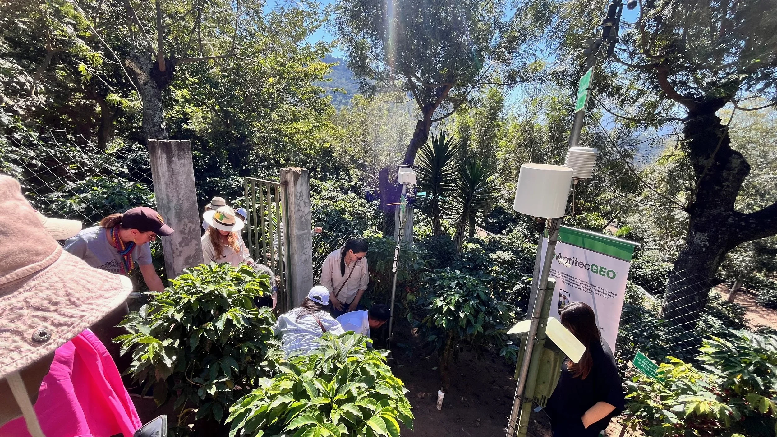 Untitled Album - 6 of 130.jpeg