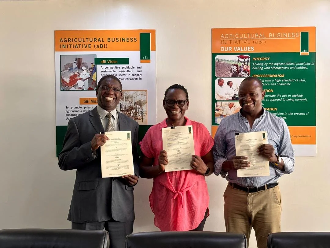 WhatsApp Image 2025-07-14 at 01.46.09.jpeg