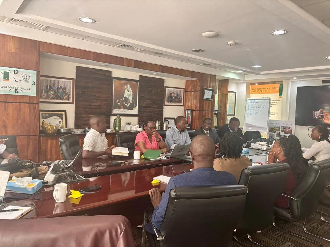 WhatsApp Image 2025-07-14 at 01.46.16.jpeg