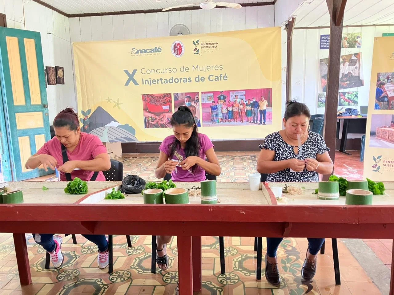 Grafting4 Competition Guatemala .jpeg