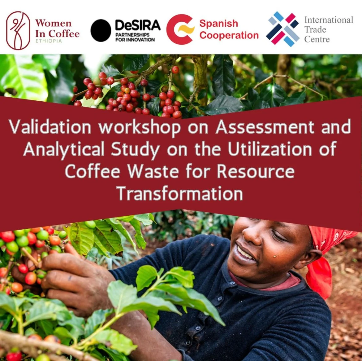 Advancing Circular Solutions in Ethiopian Coffee: Validation Workshop Highlights