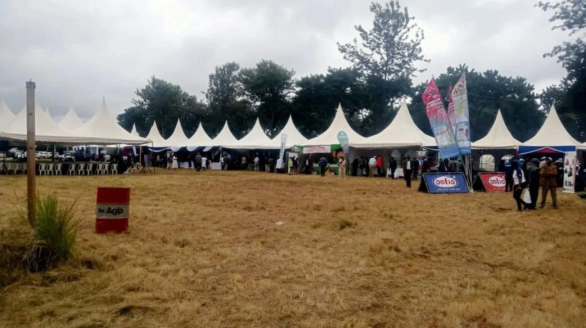 2025-IWCA-KENYA-CRI3.jpg