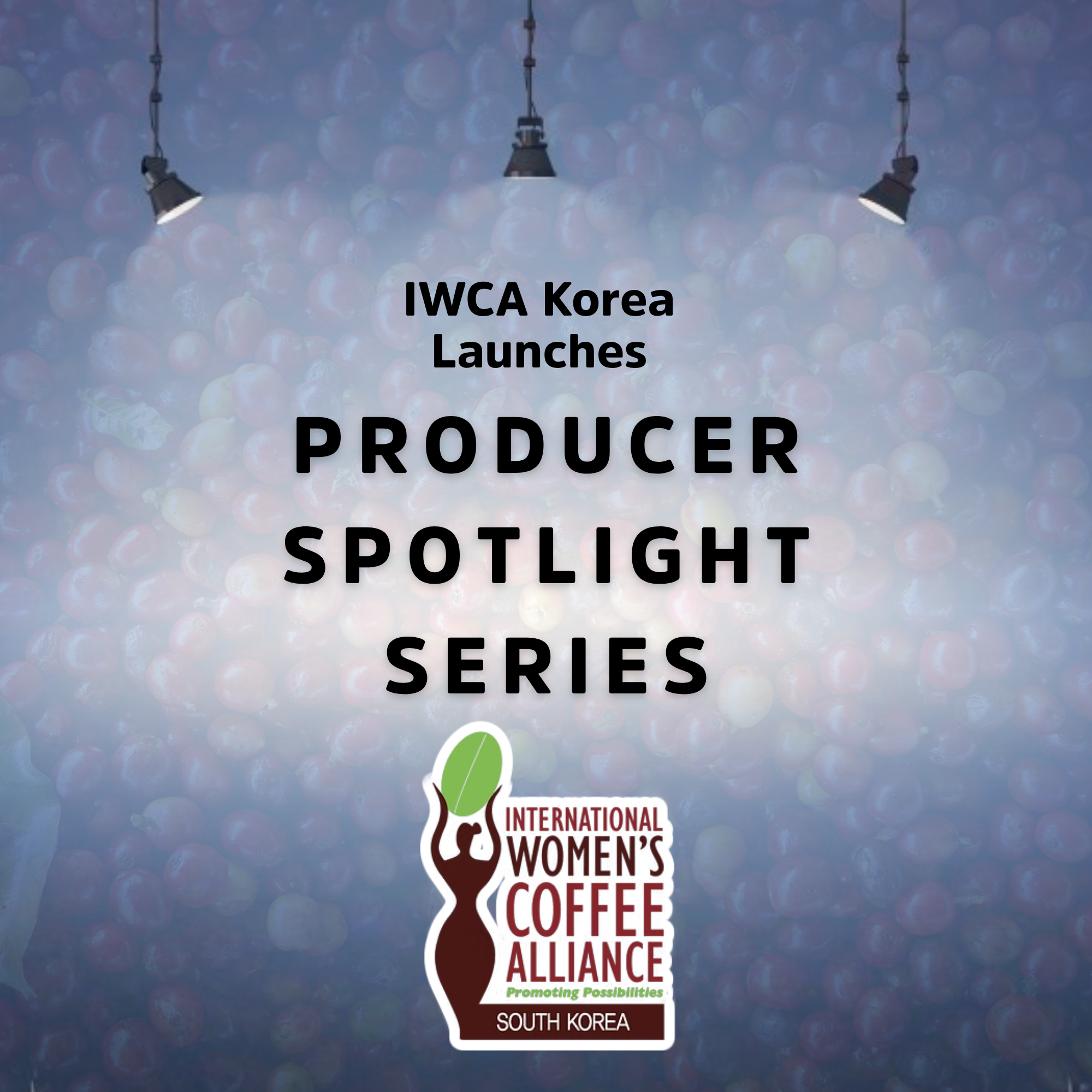 IWCA Korea Launches Instagram Series to Spotlight Coffee Producers
