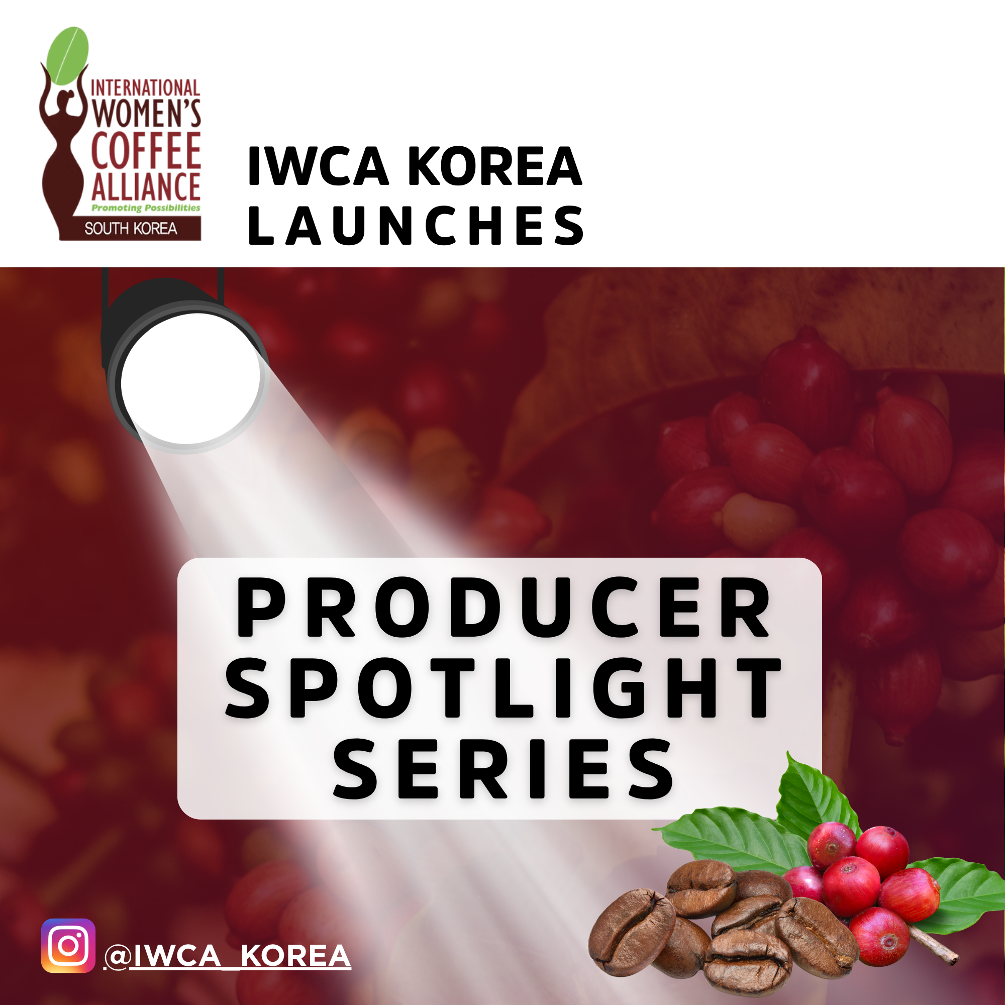 IWCA Korea Launches Instagram Series to Spotlight Coffee Producers