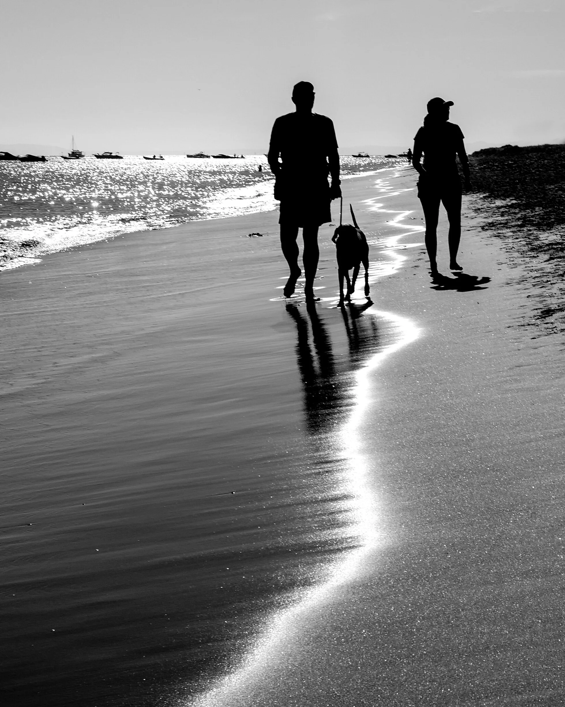 Portsea sunrise front beach shadows.jpg