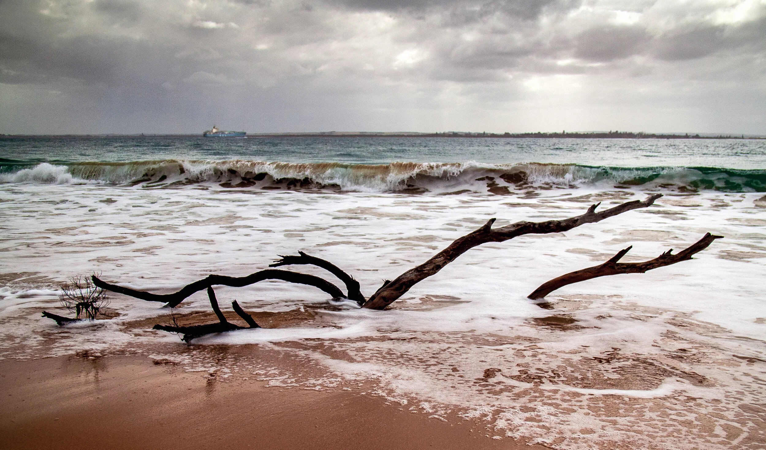 Portsea beach rugged.jpg