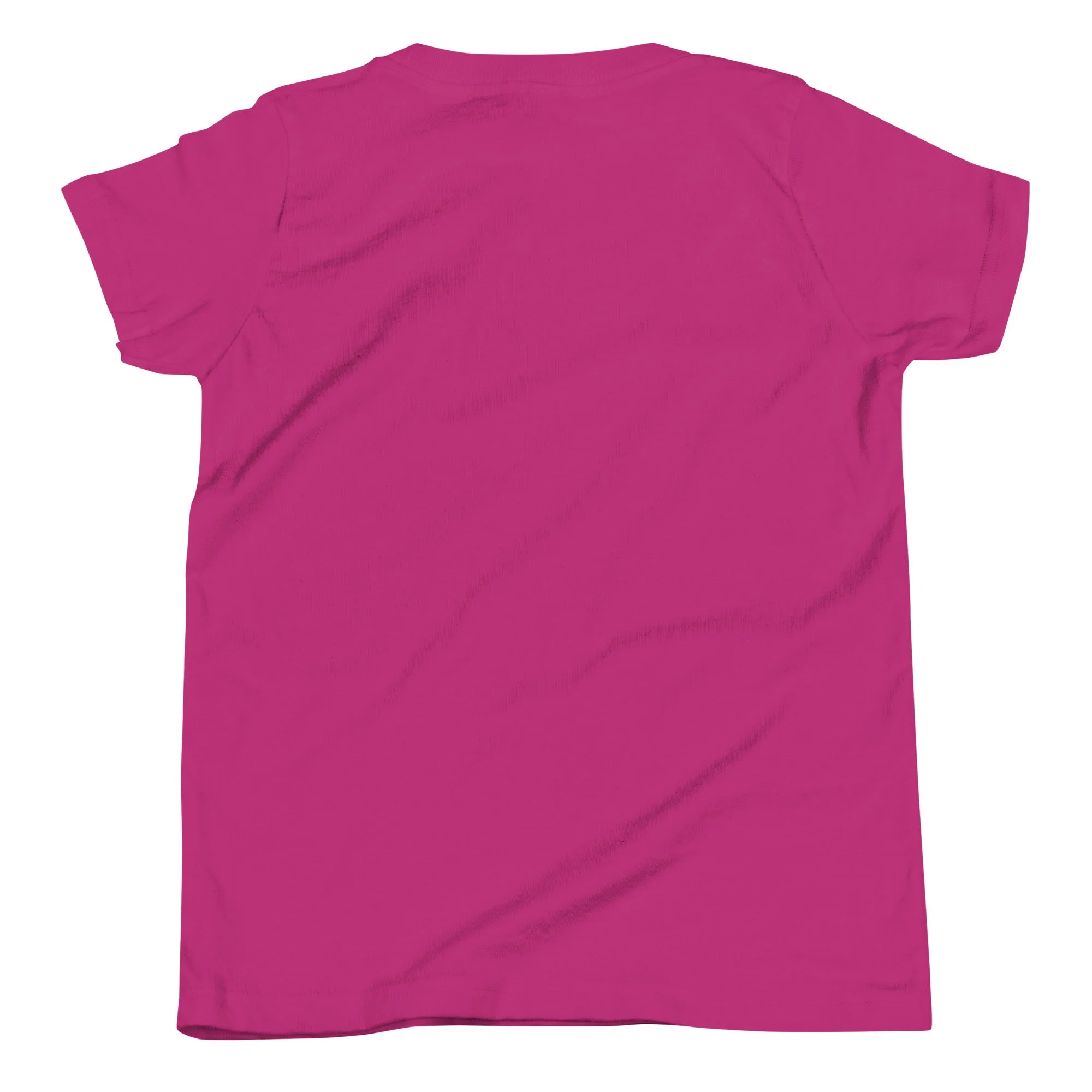youth-staple-tee-berry-back-692886e583ffa.jpg