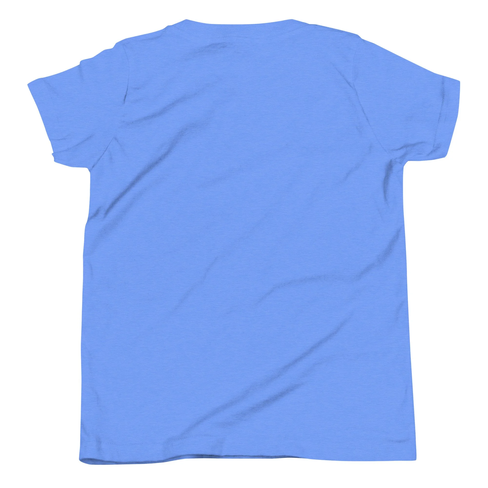 youth-staple-tee-heather-columbia-blue-back-692886e5876d1.jpg