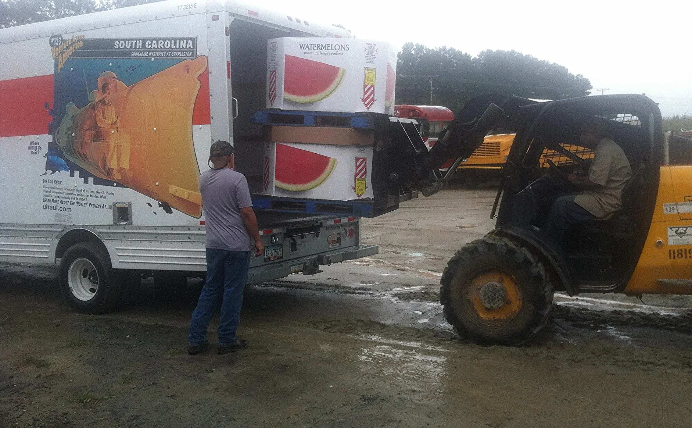 Watermelon loading in Delaware 