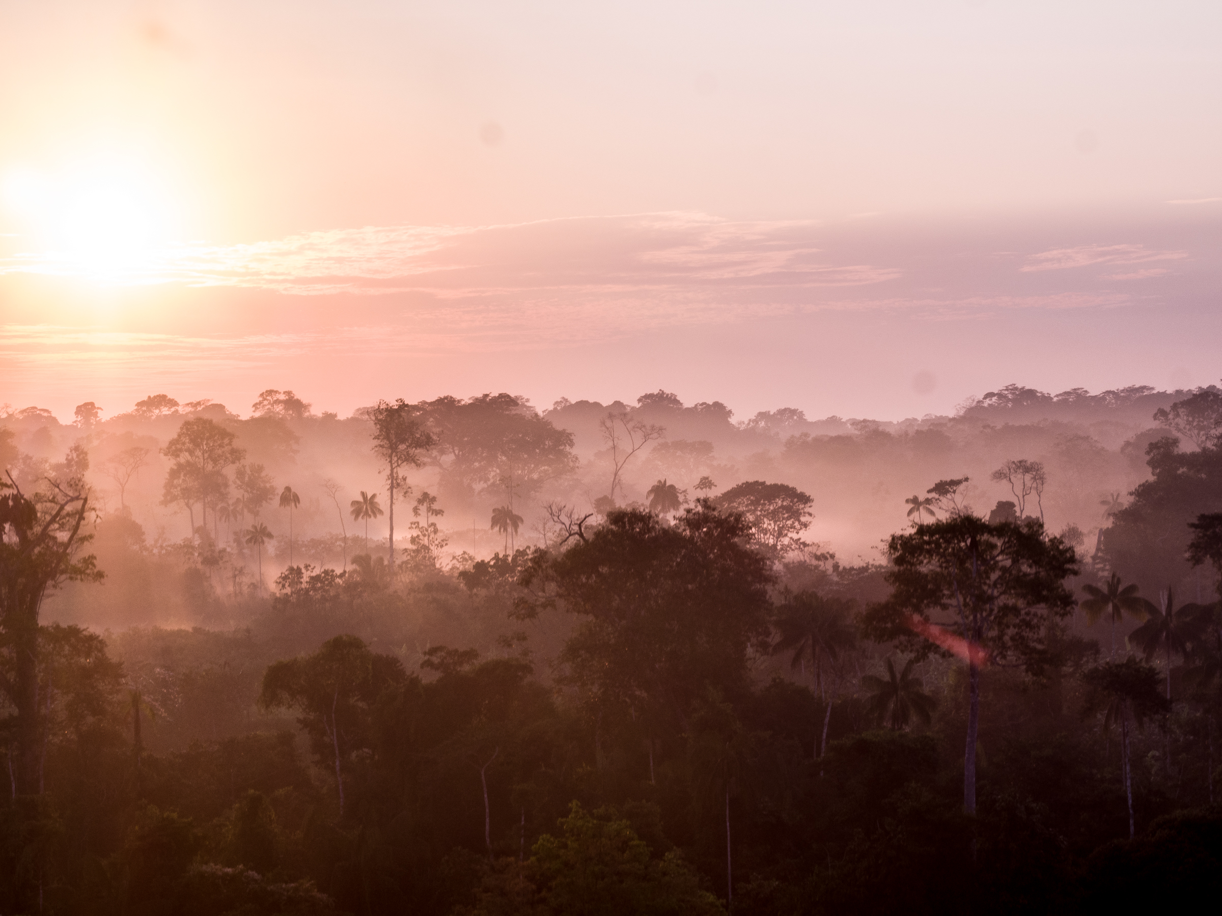The morning fog starts to disappear as the sun rises in the dry season of July. The non-profit, Indigenous Celebration , organizes a trip to the Mutum Village to visit the Yawanawá tribe in Acre, Brazil region of the Amazon Jungle. 