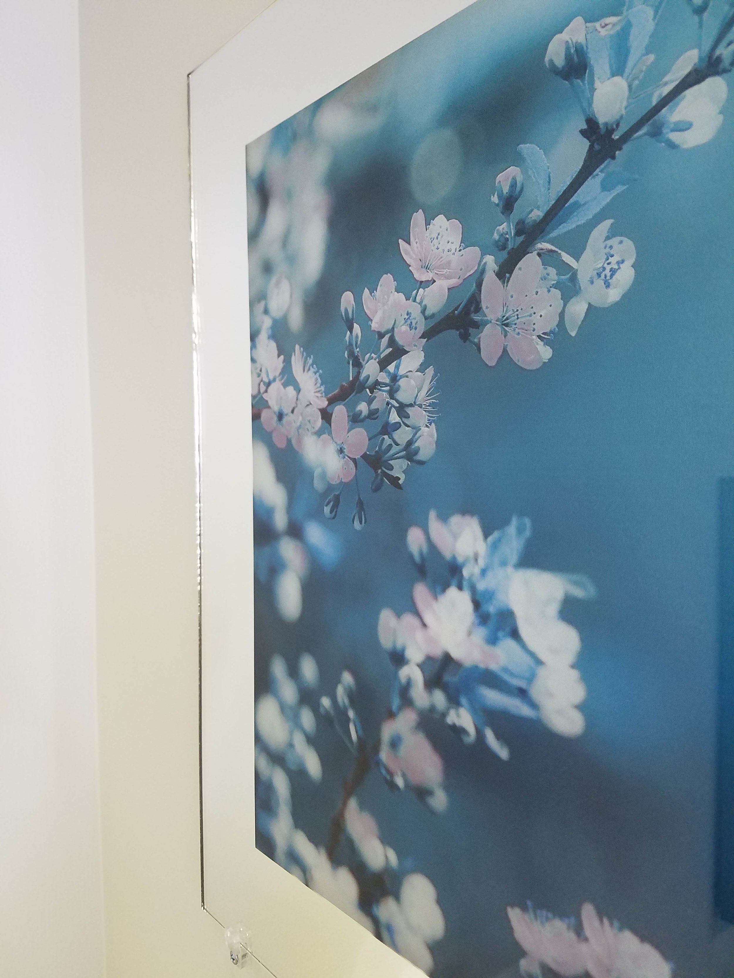 FLowers on mirror.jpg