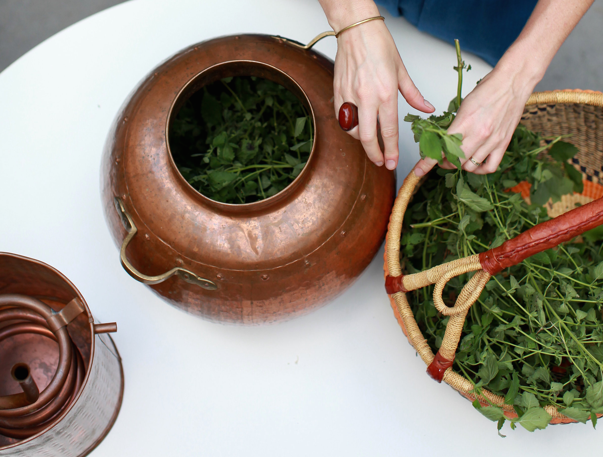 TOJ+Packing  +the+Still.png