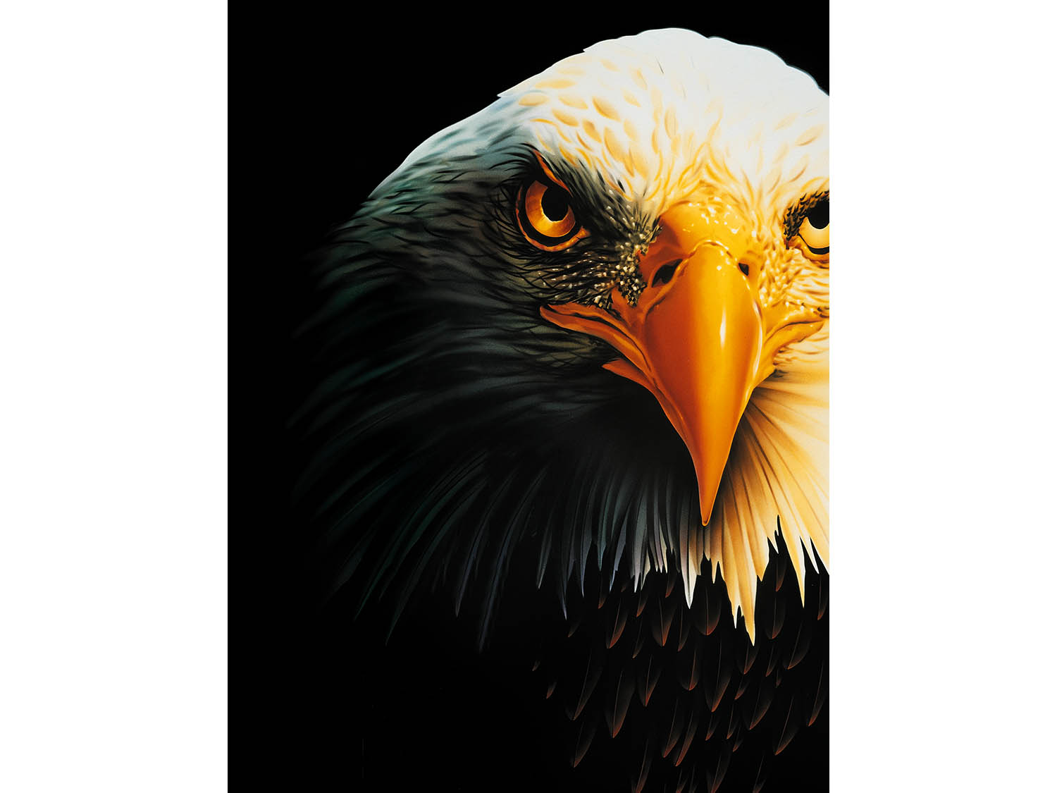 eagle cropped.jpg