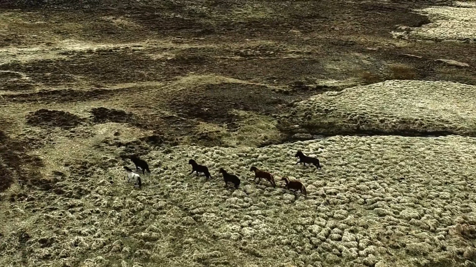 B.A.| POLA(30sec) 008.jpg