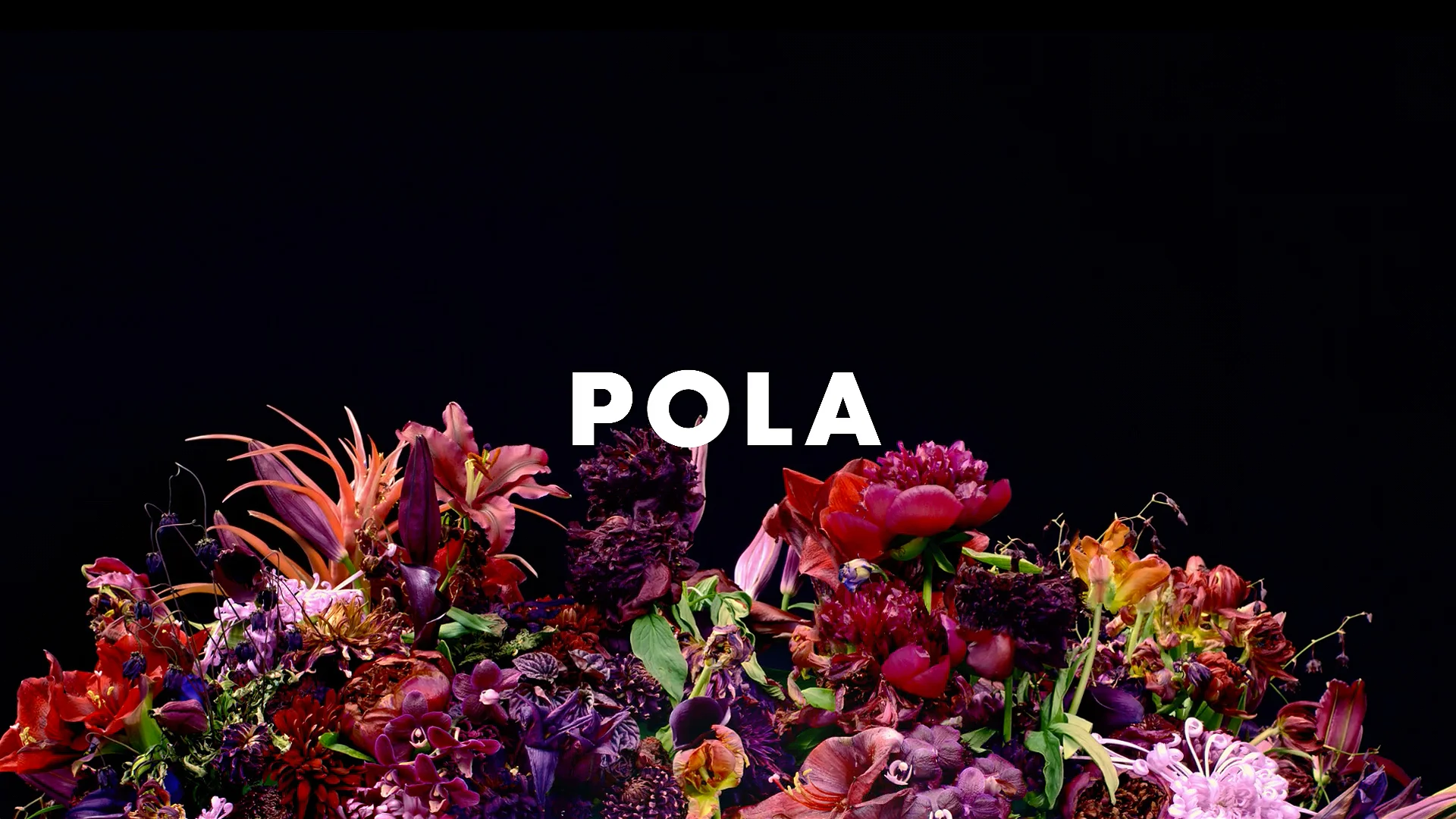 POLA BA018.jpg