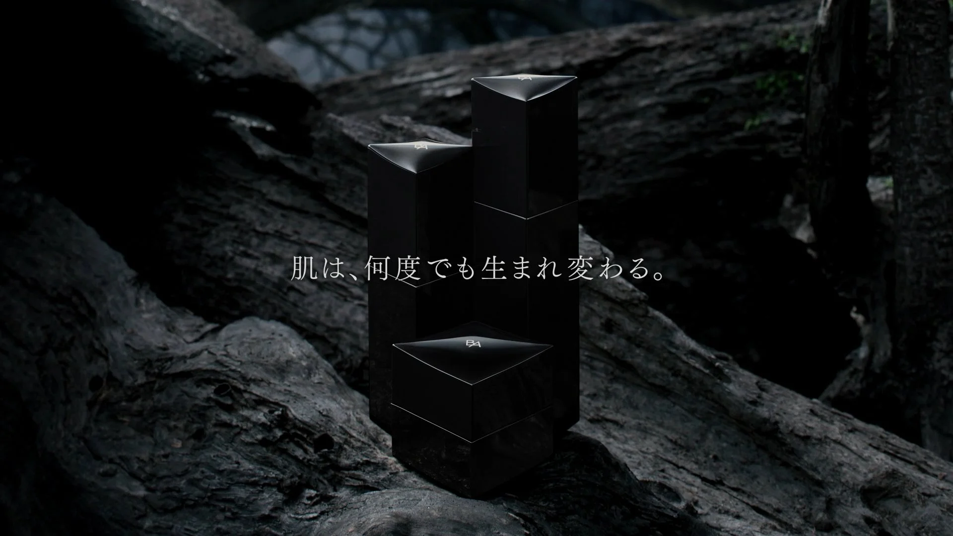 B.A.| POLA(30sec) 021.jpg