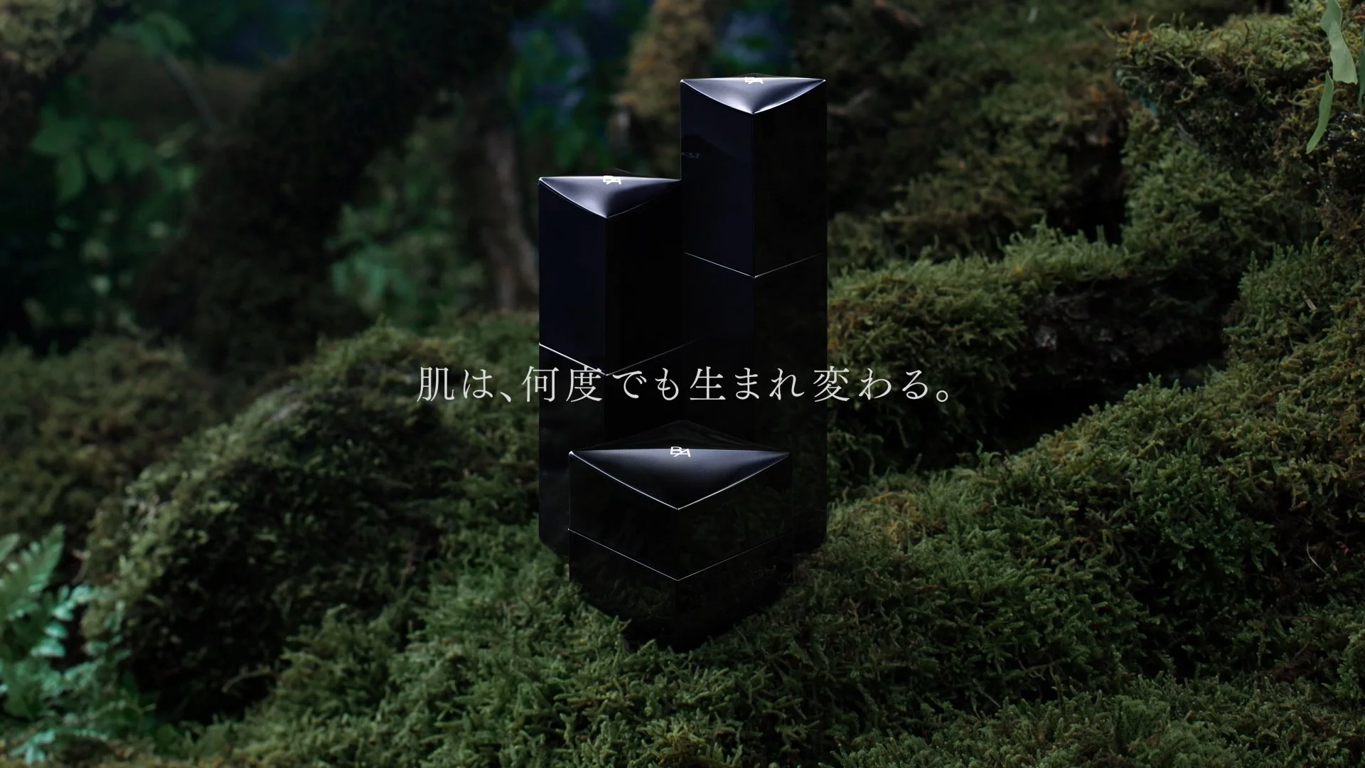 B.A.| POLA(15sec_夏木マリ) 009.jpg