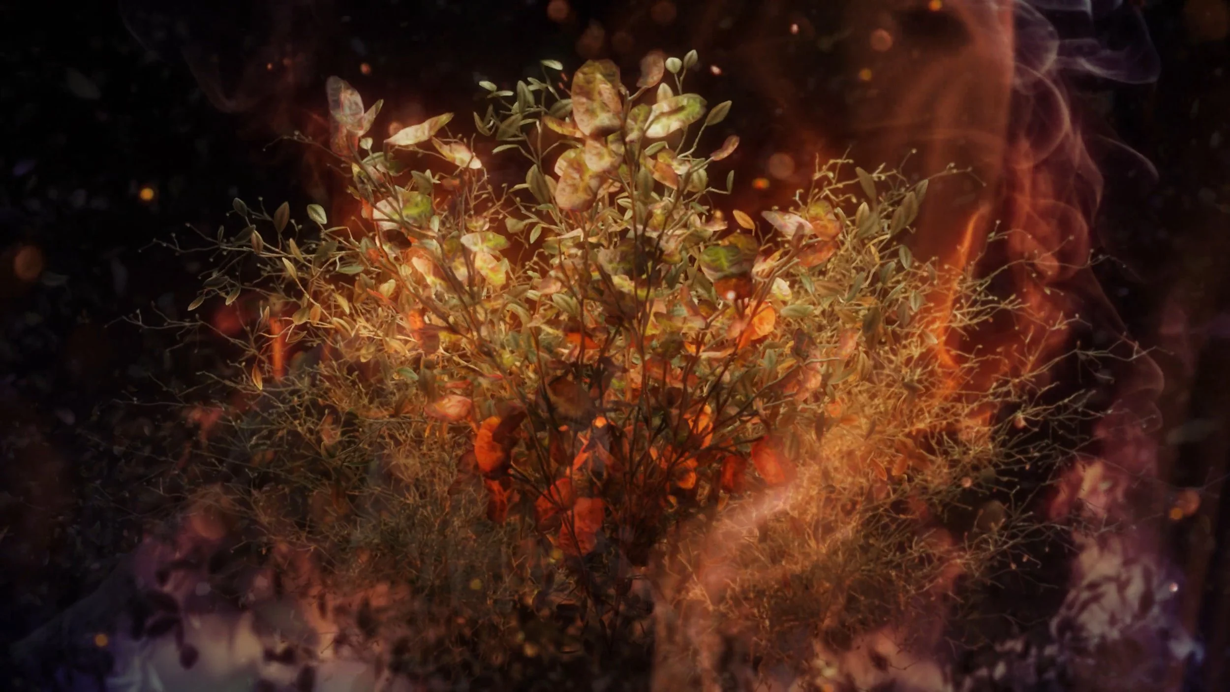 精霊の守り人 シーズン1 タイトルバック026.jpg