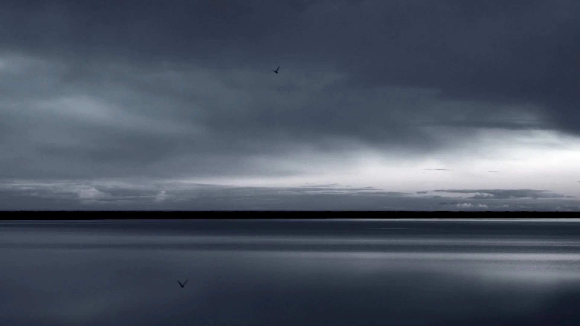 B.A.| POLA(30sec) 010.jpg