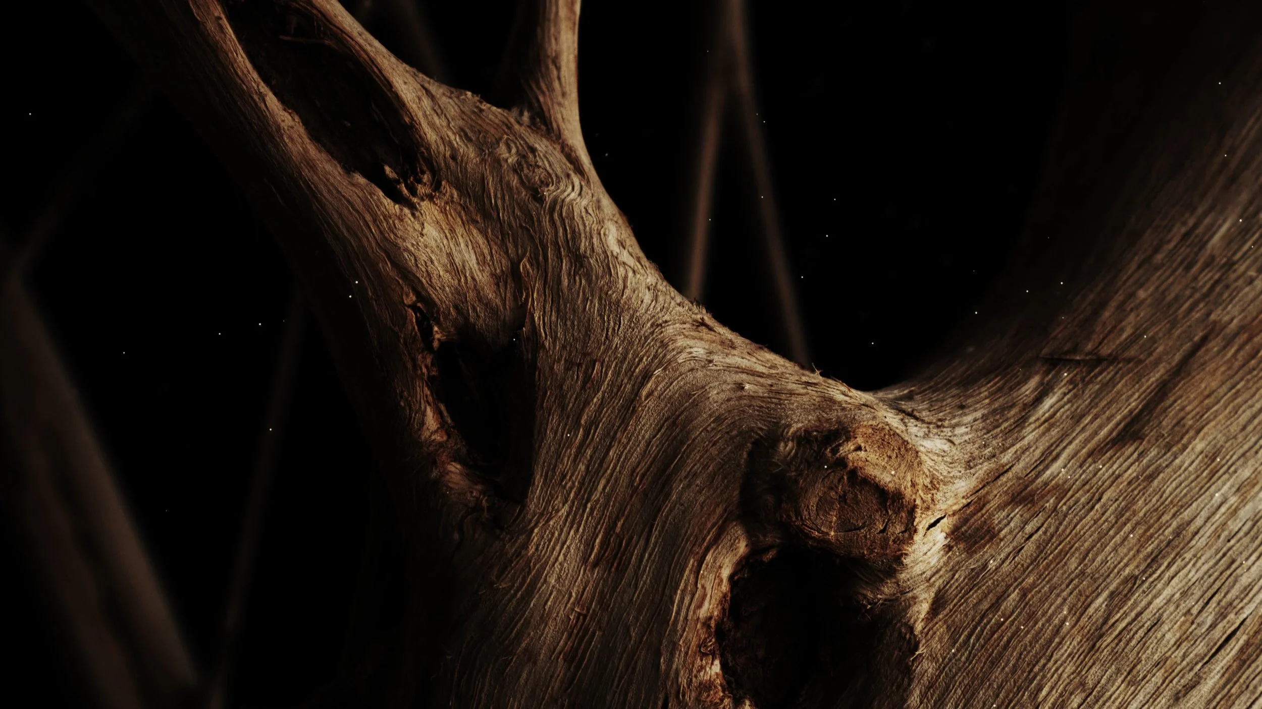 精霊の守り人 シーズン1 タイトルバック007.jpg