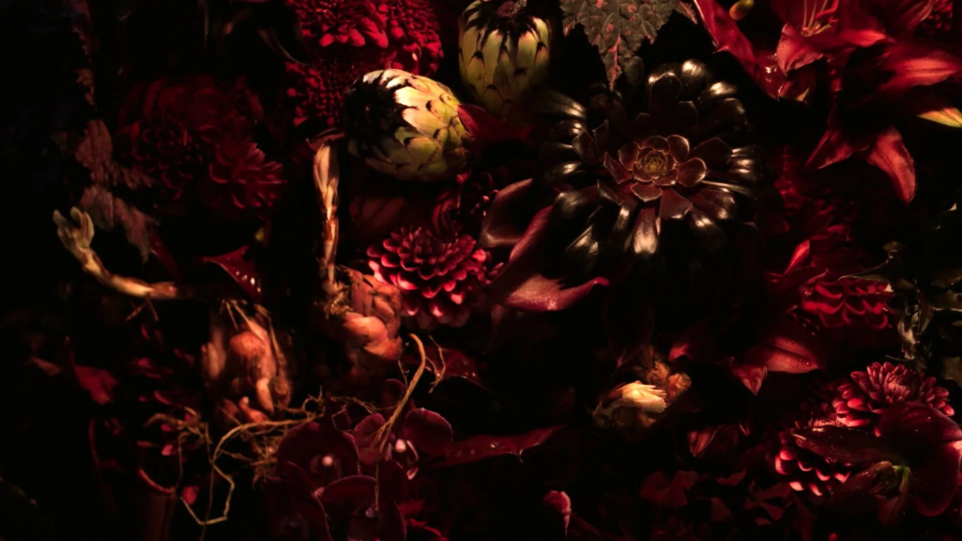 B.A.| POLA(15sec_夏木マリ) 005.jpg