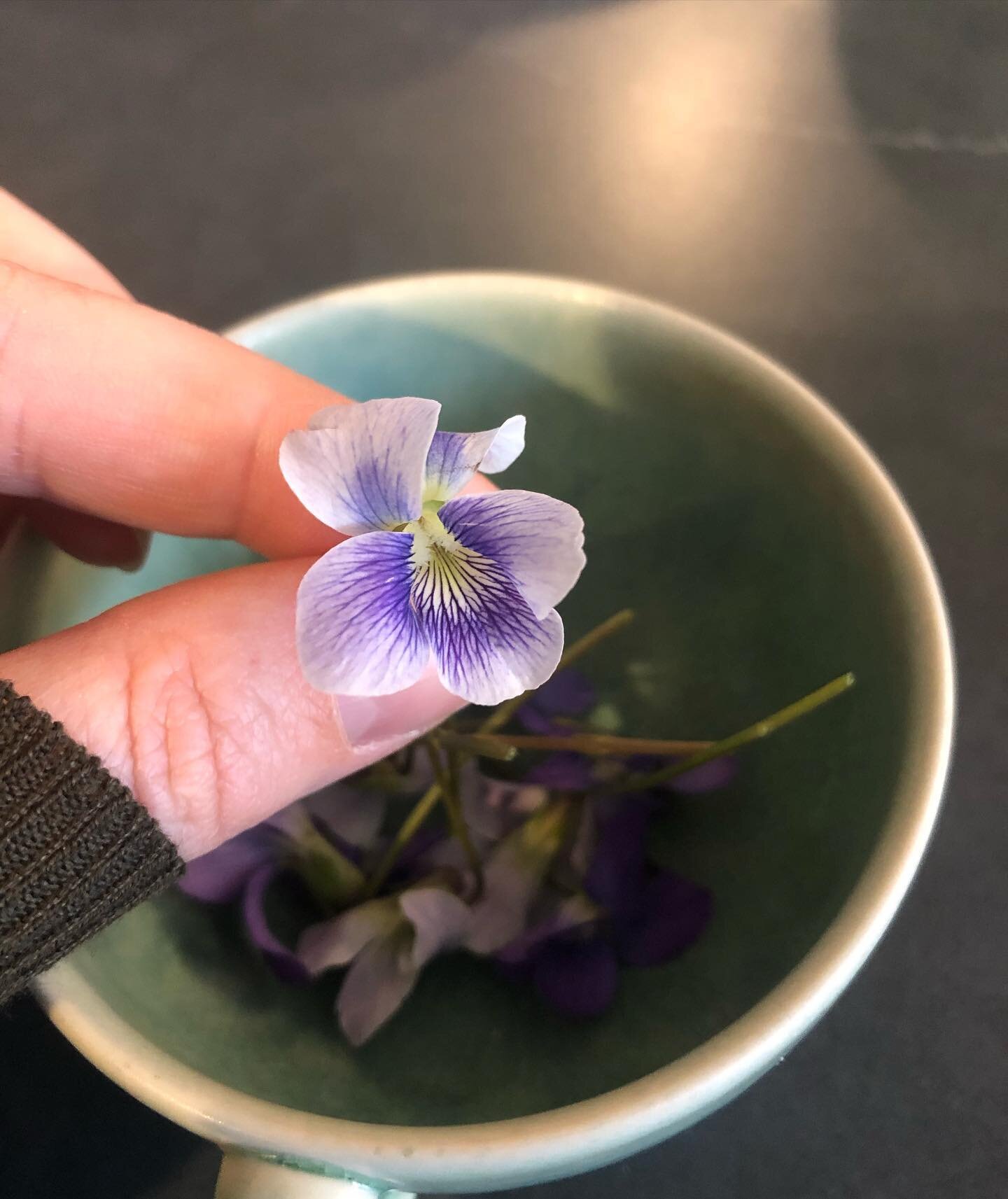 To remind me of a week in small moments; the ones where the joy of collecting garden violets, opening a multi colored carton of eggs from the farm,a handful of foraged ramps left on the porch by a neighbor, blooming trees, blooming orchid shadows, a 
