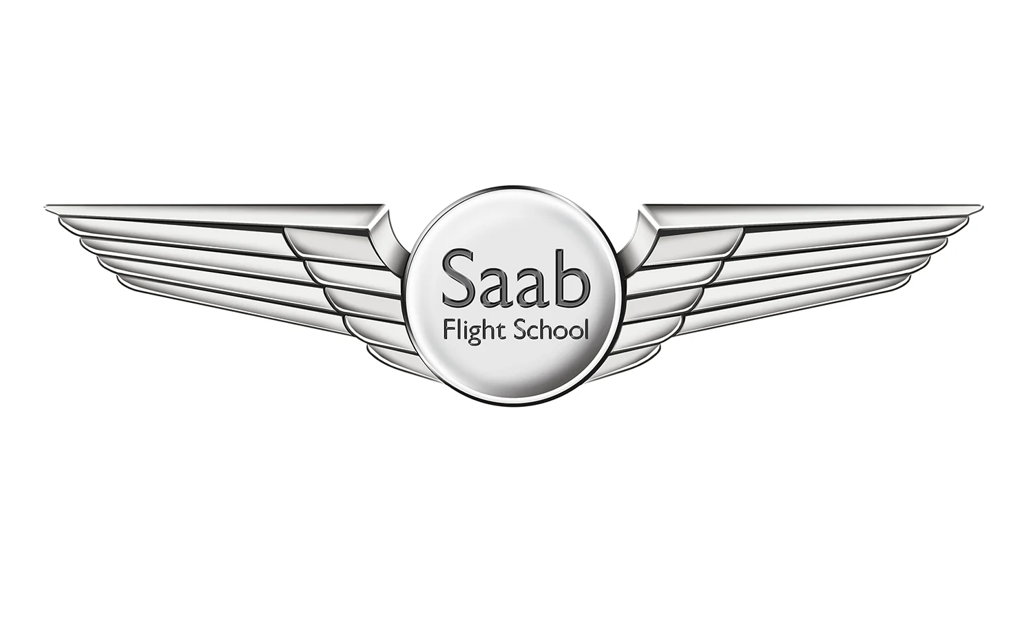 sab_wings_site.jpg