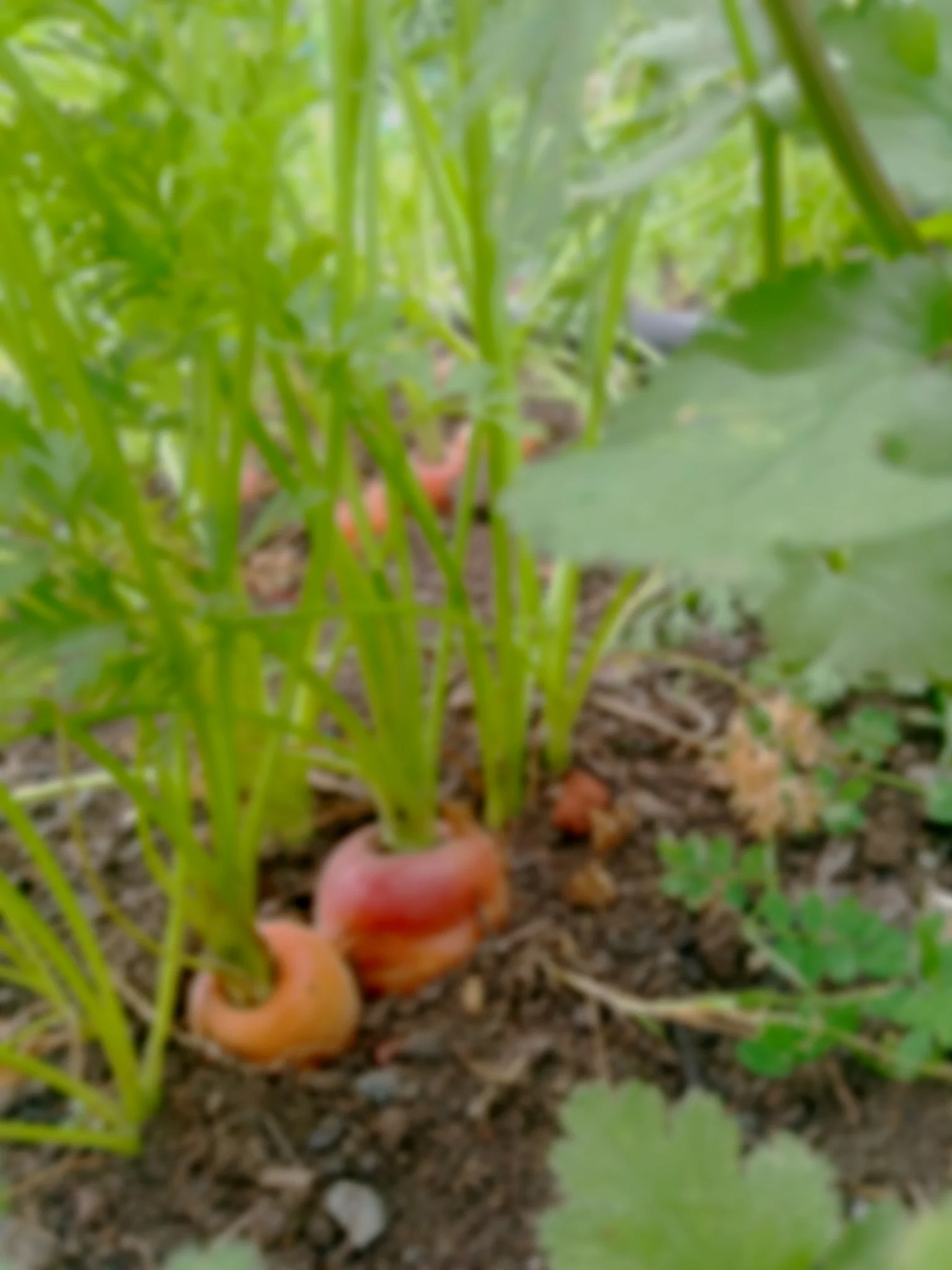 IMG_20150327_103913+%281%29.jpg