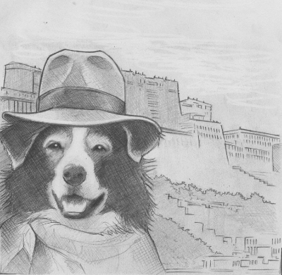 Tashi's sketch
