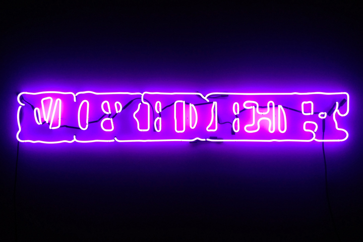 Ambisinister (Party On Left, Party On Right), 2014, neon, transformer, 14 x 96 inches