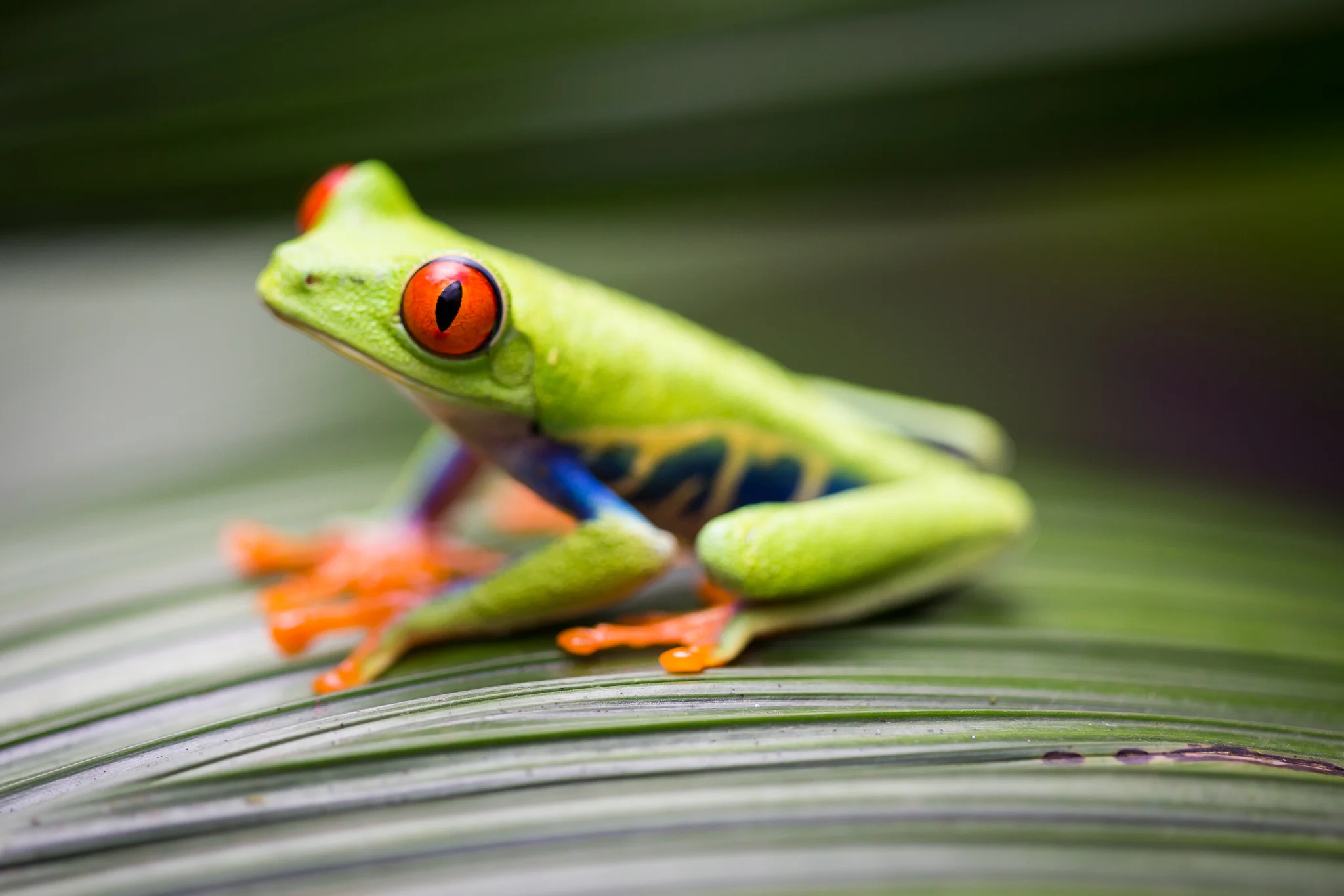 costarica-76.jpg