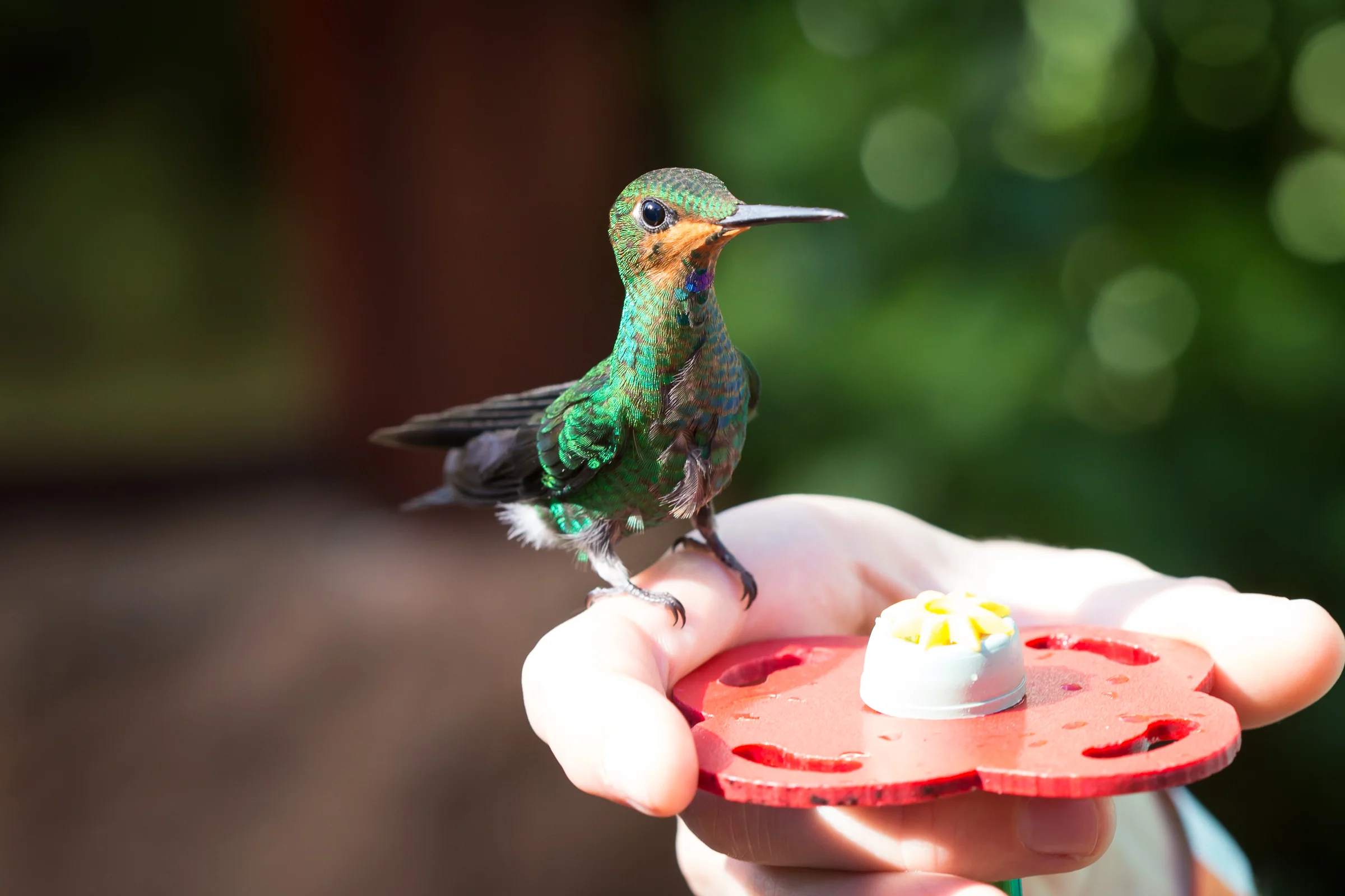 Look at his tiny feet on my finger!