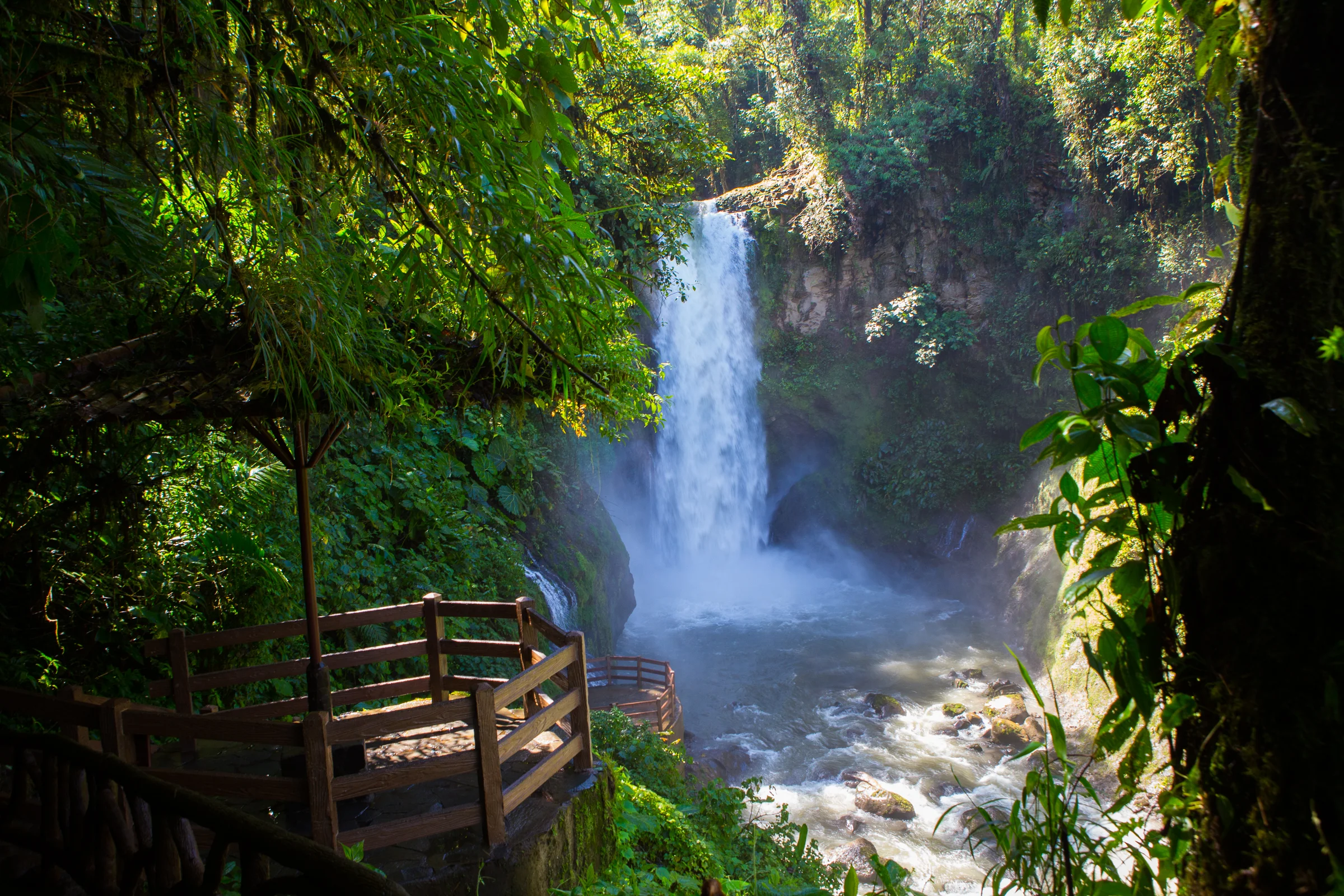 Magia Blanca:One of the many waterfalls along our rainforest hike. 