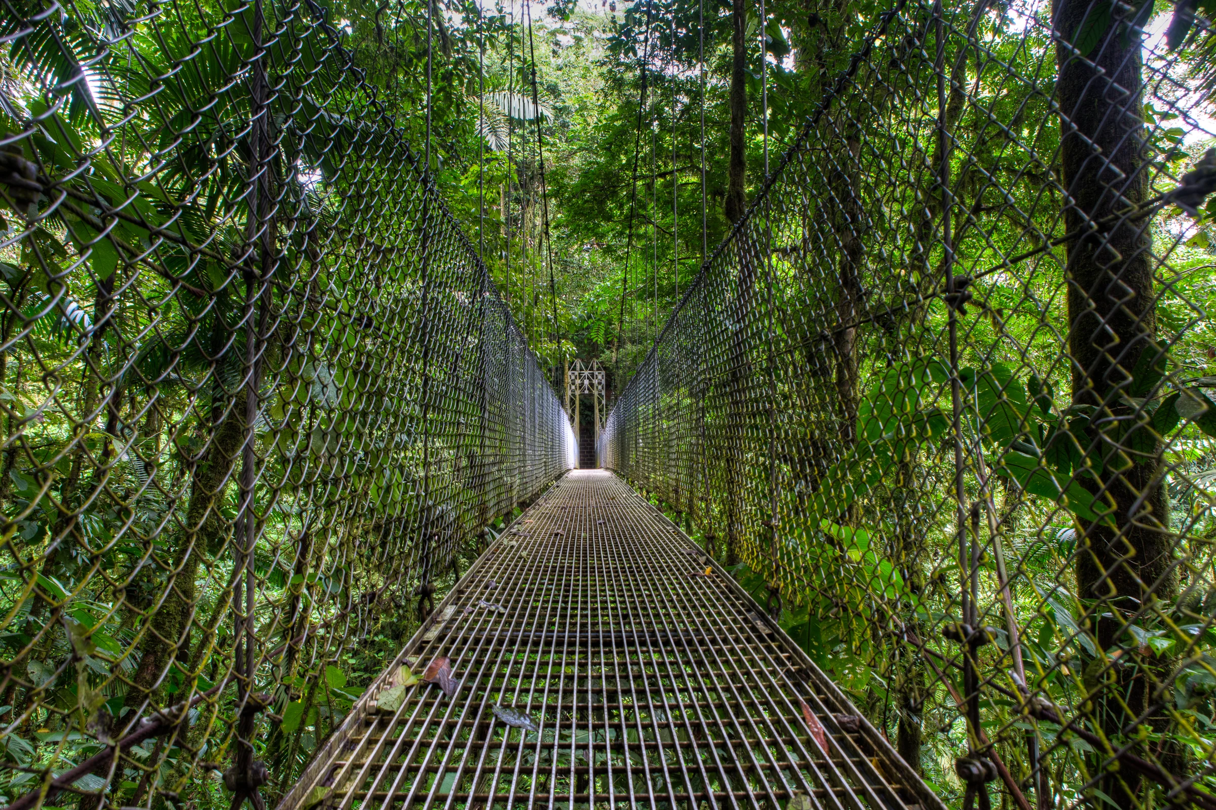 Costa Rica Part II: Arenal Volcano Sunset, La Fortuna Waterfall, And Hanging Bridges Tour