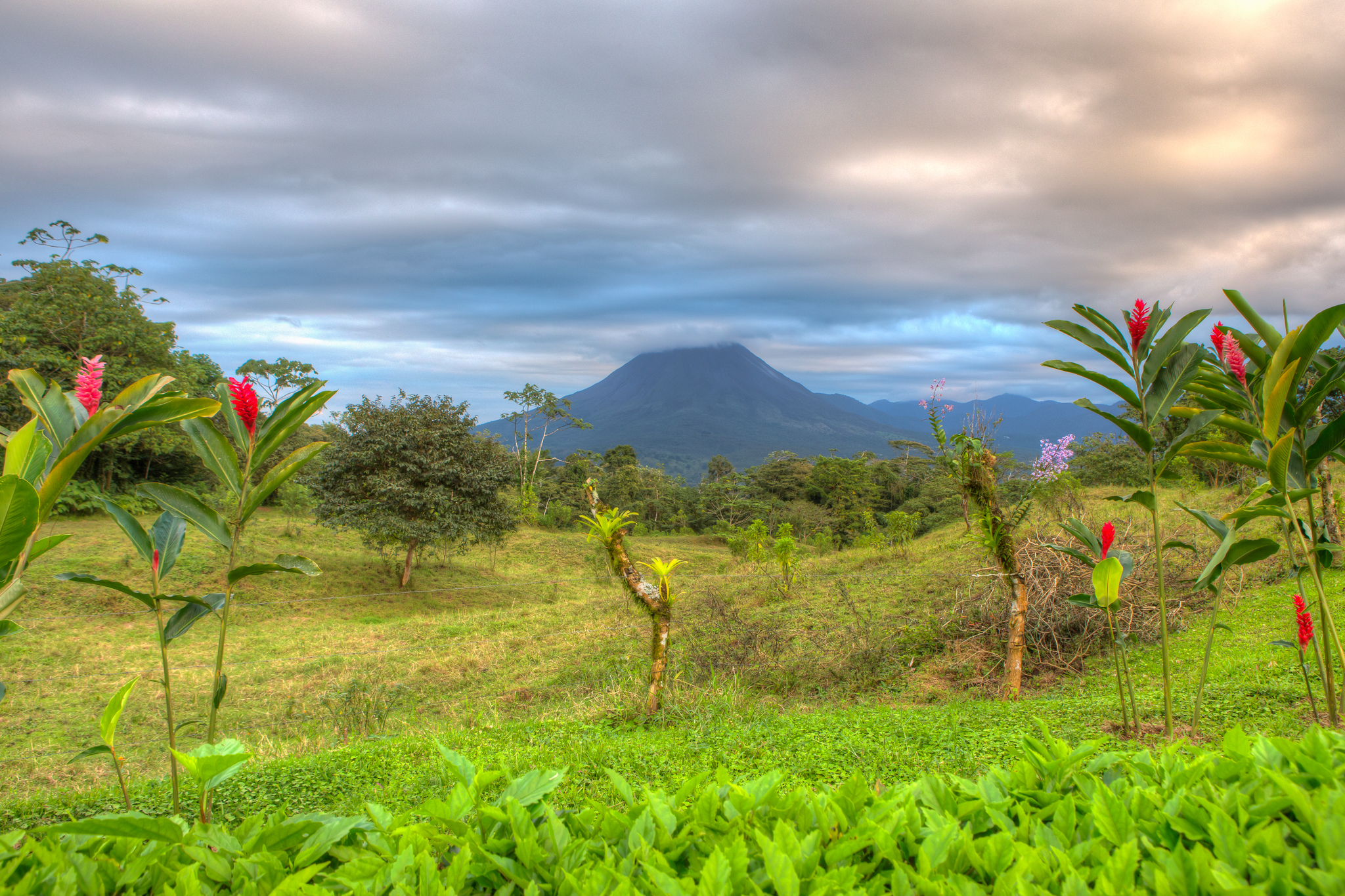 Arenal Volcano view from our hotel room. The flowers were so vibrant and seemed to grow everywhere. 