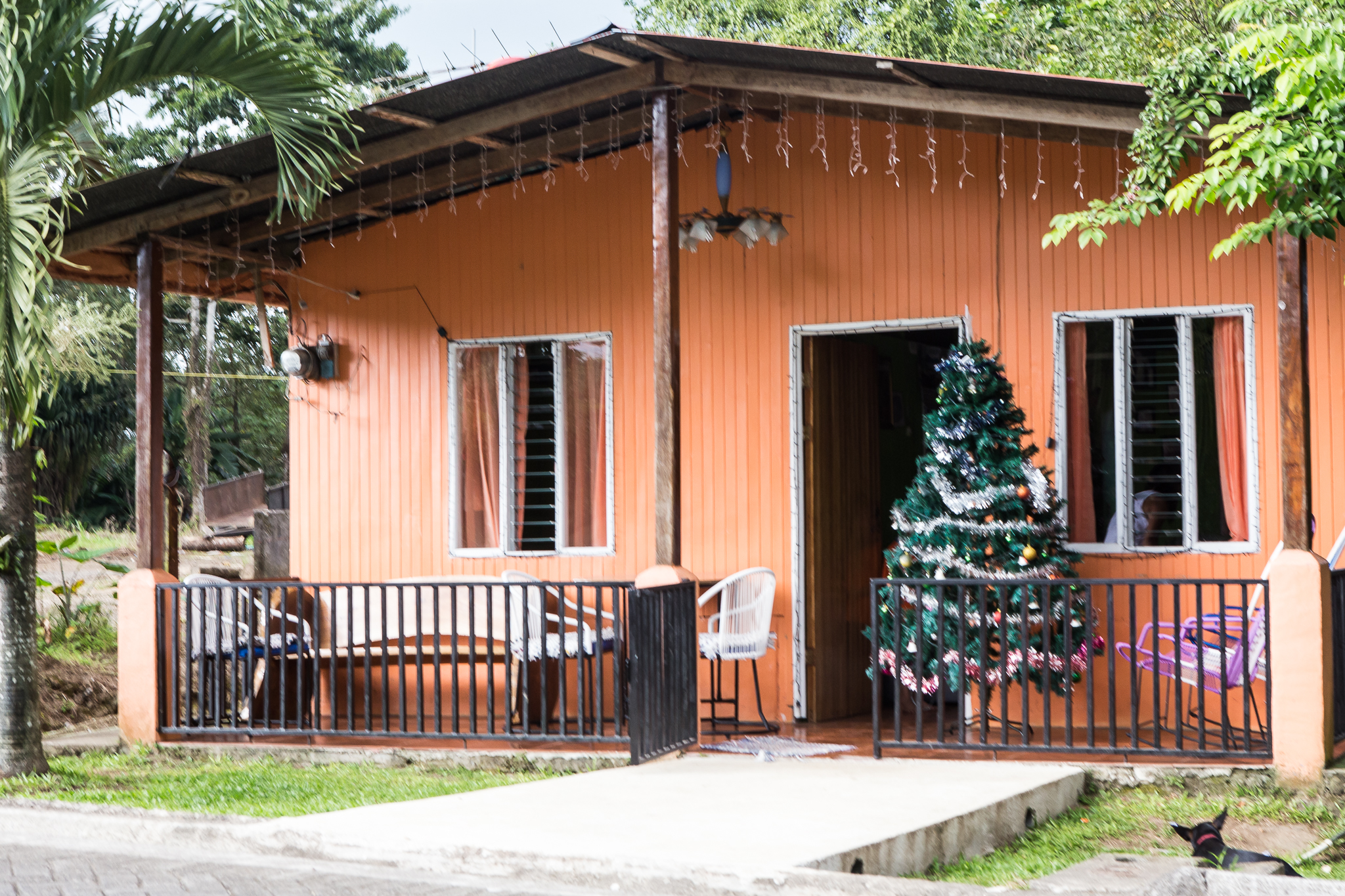 The houses were very simplistic with mainly pieces of sheet metal for the walls and roofs. Christmas trees were often placed outside on the porches due to lack of space inside. There were many different colored houses, some being multi-colored.