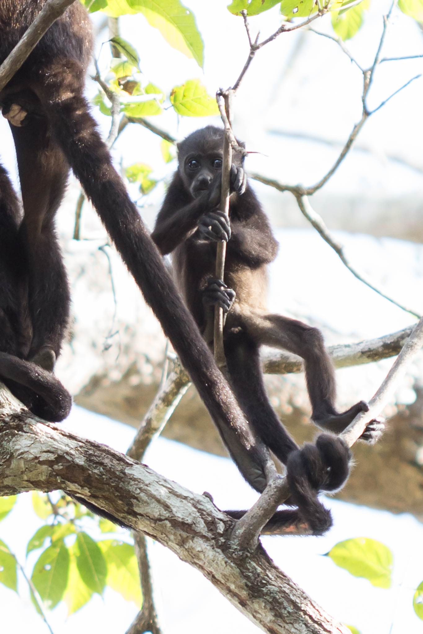 costarica-165-2.jpg