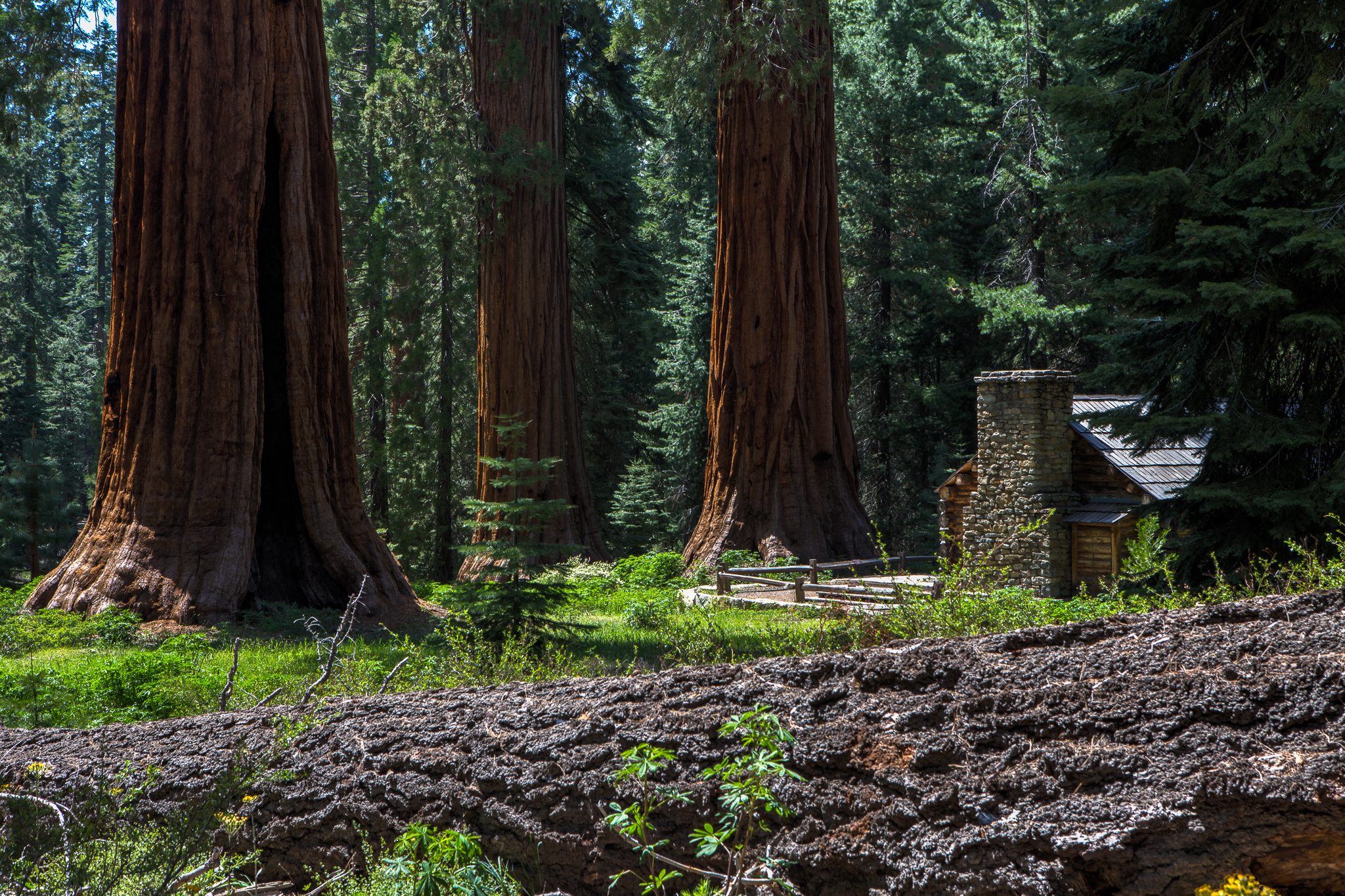yosemite-9587_8_9.jpg