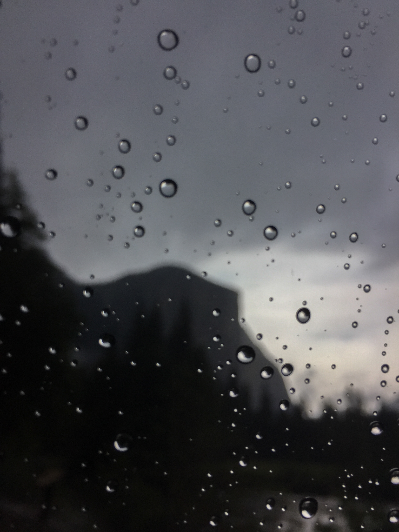 yosemite-9342.jpg