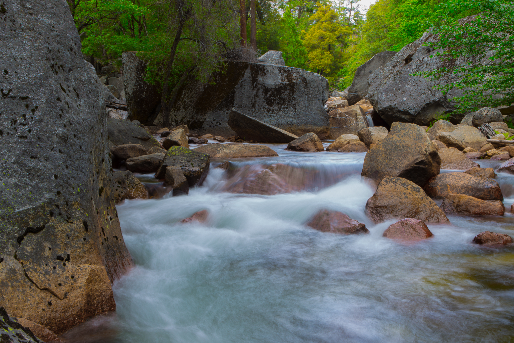 yosemite-9487.jpg